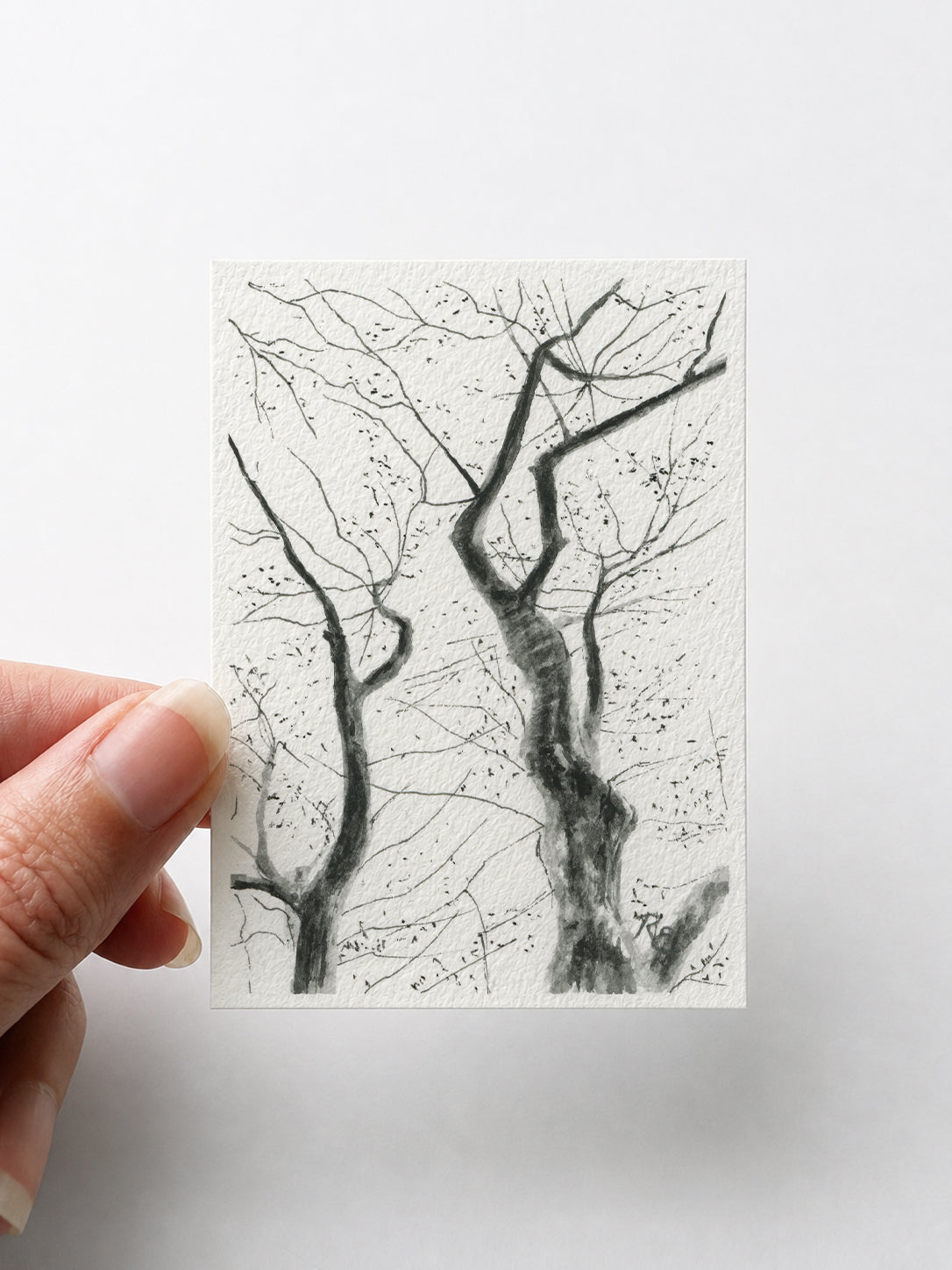 Tree Branches Black II