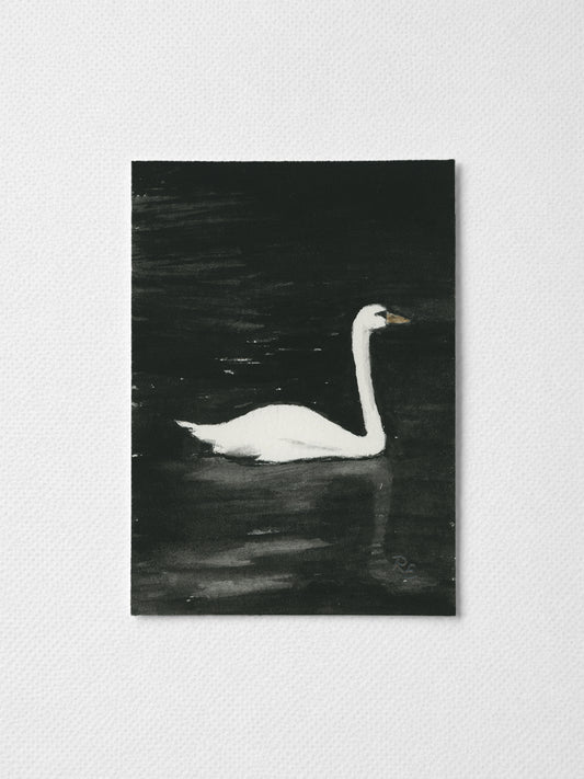 Swan Black I