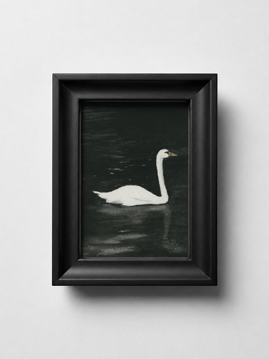Swan Black I