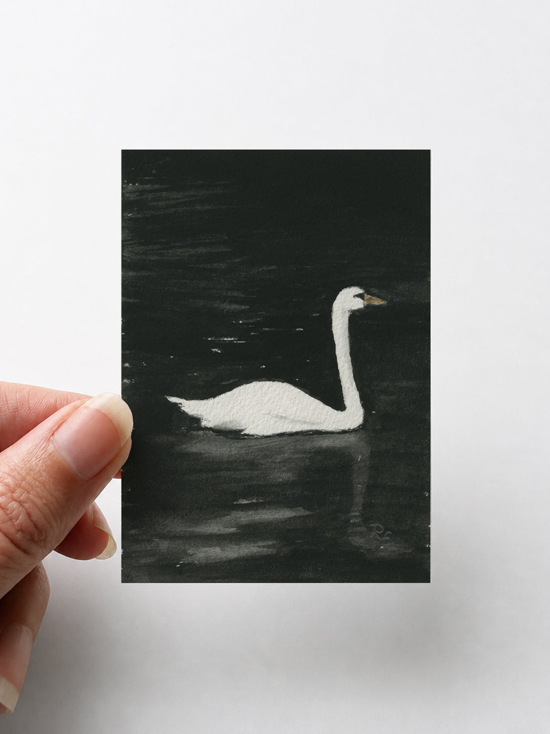 Swan Black I