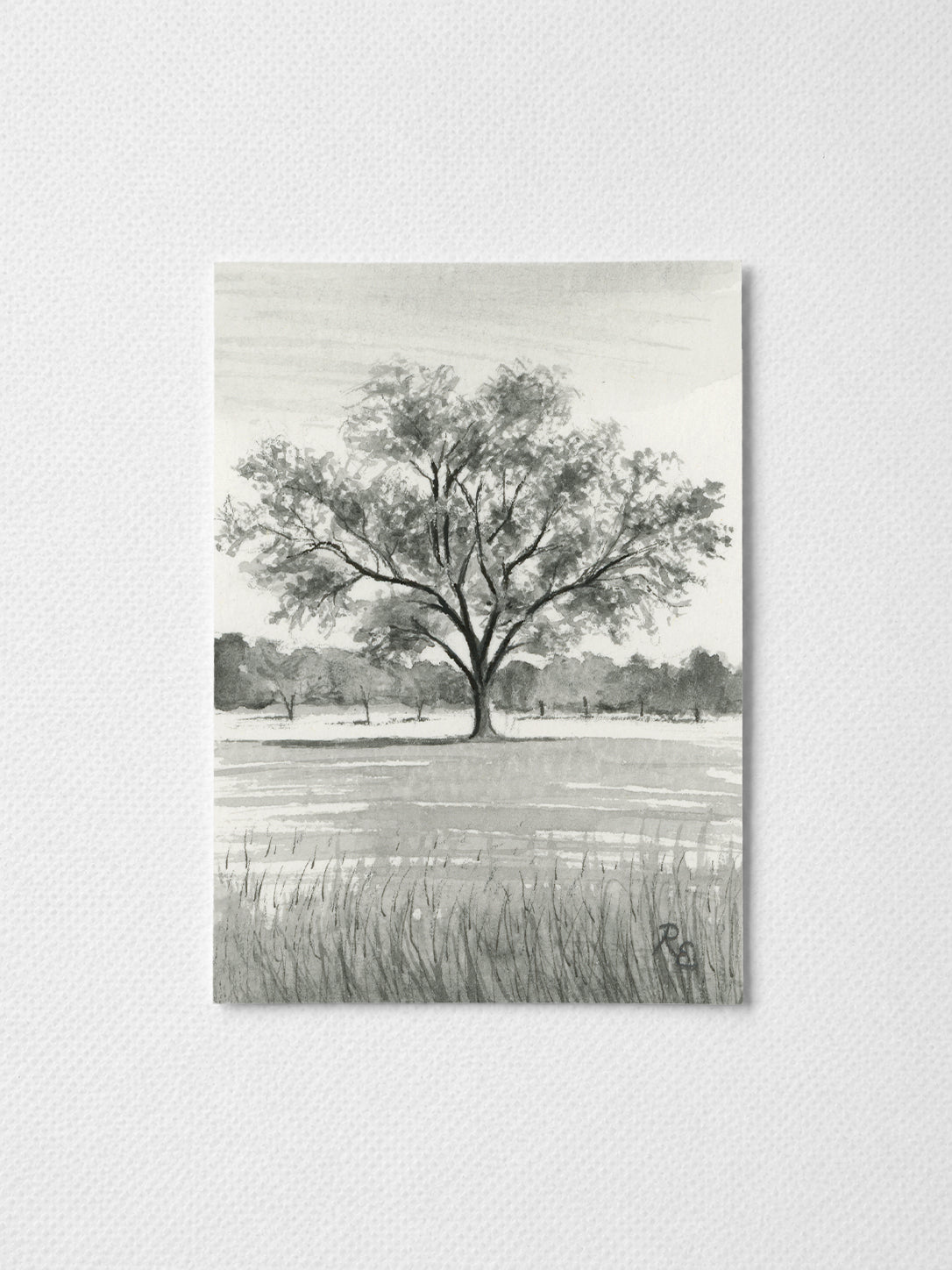 Oak Tree Black II