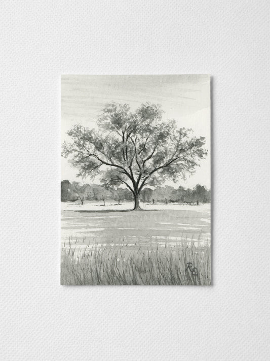 Oak Tree Black II