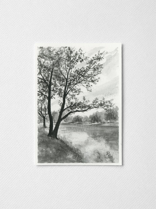 Trees on River Black II