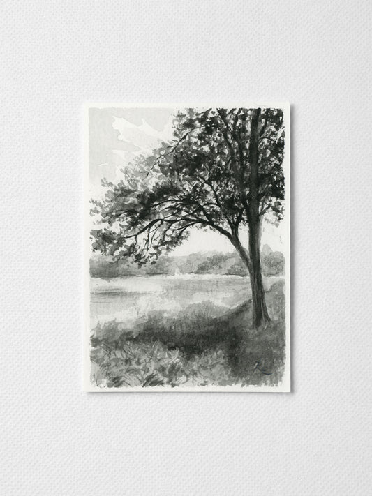Trees on River Black I