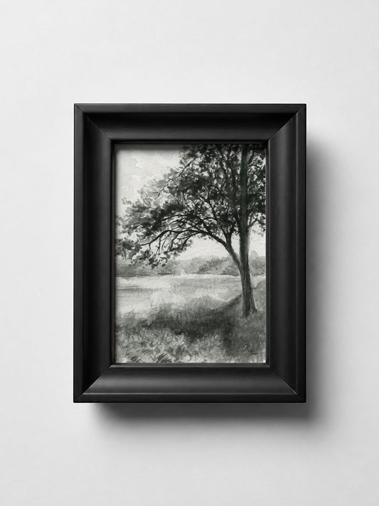 Trees on River Black I