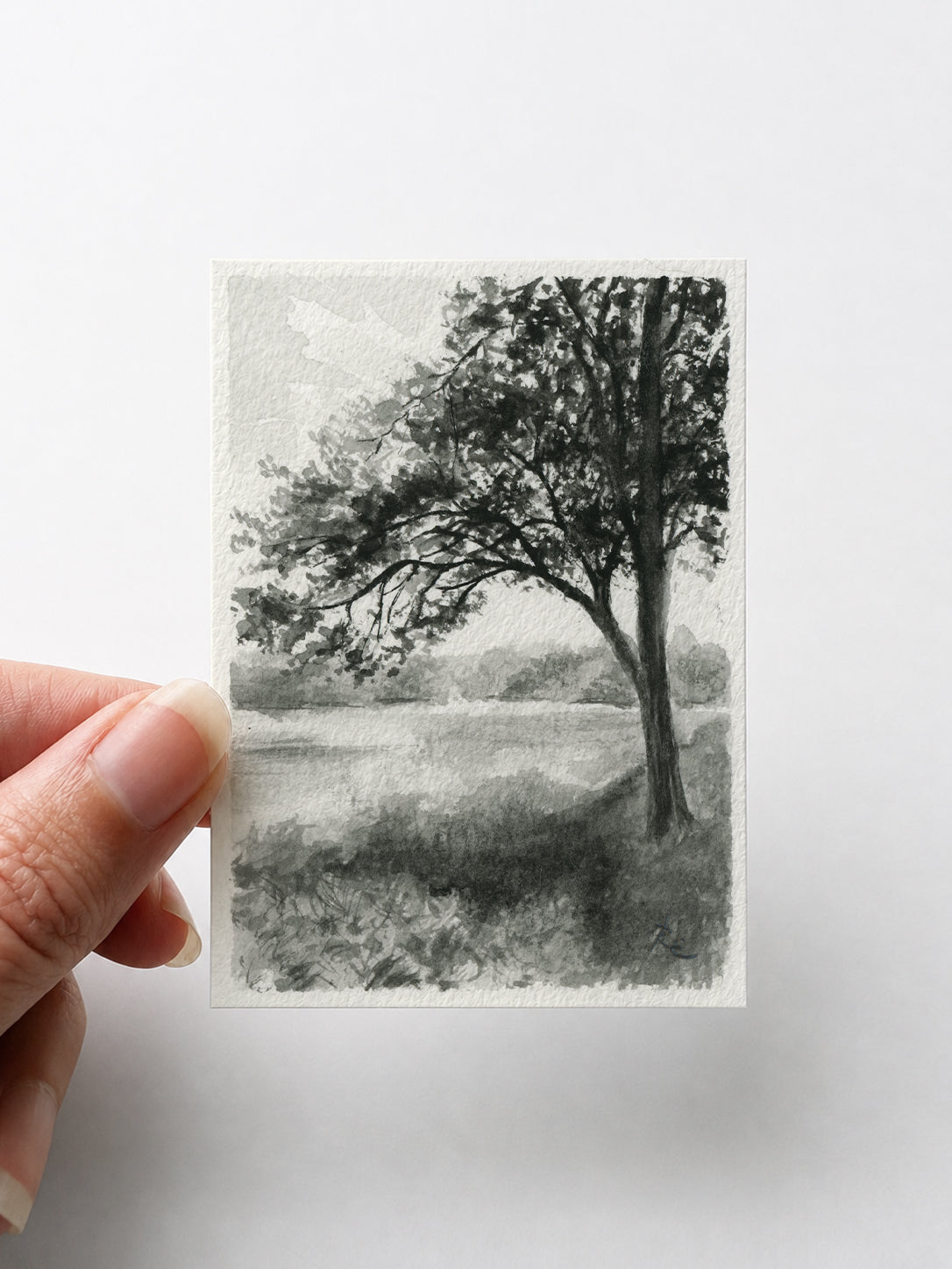 Trees on River Black I