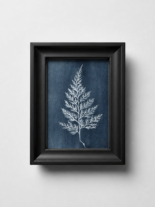 Fern Blue I