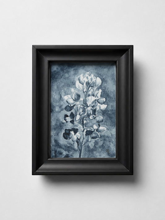Bluebonnet Field II