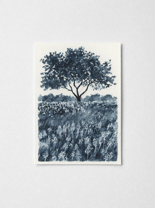 Bluebonnet Field I