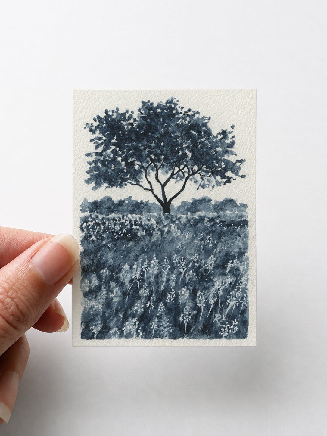 Bluebonnet Field I
