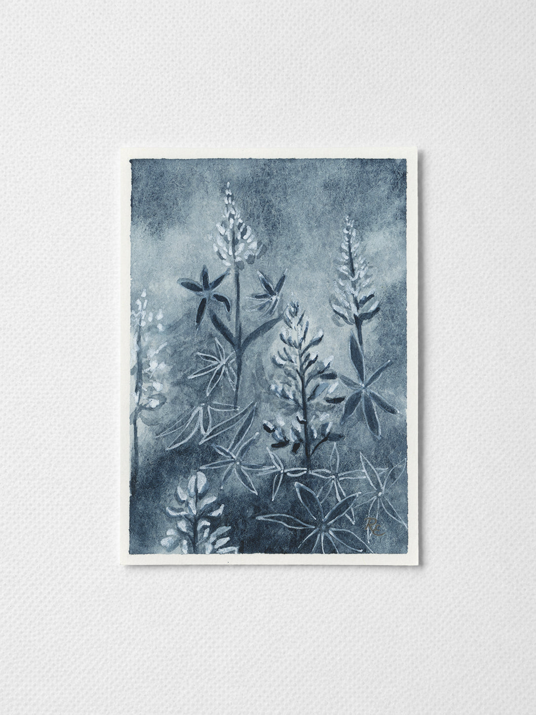 Bluebonnet Field III