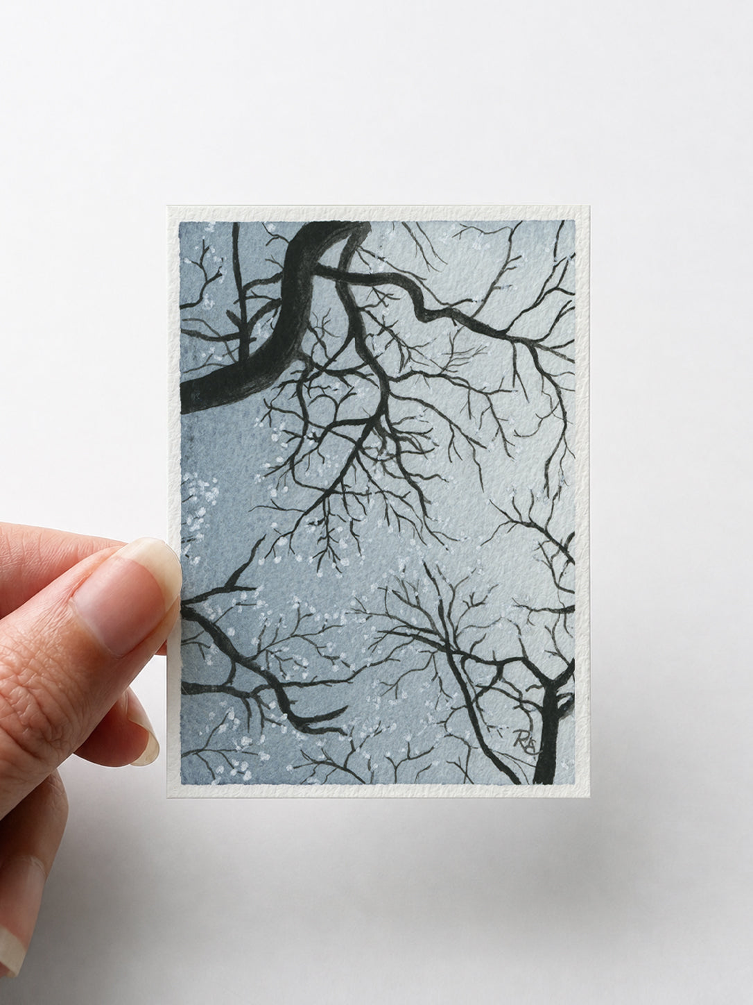 Sky Branches Blue I