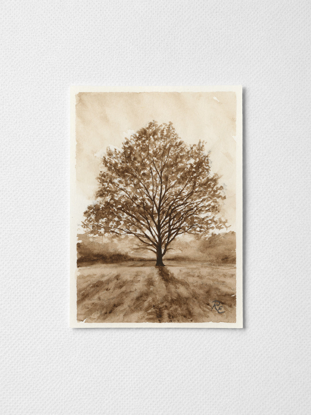 Oak Tree Brown I