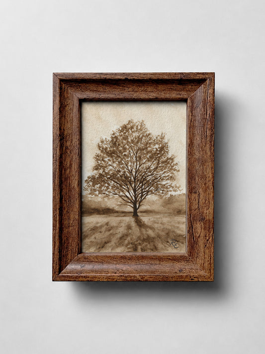 Oak Tree Brown I