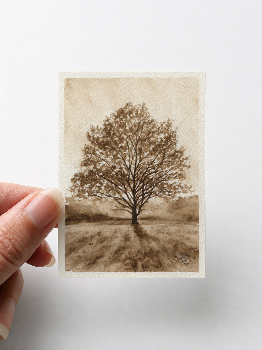 Oak Tree Brown I
