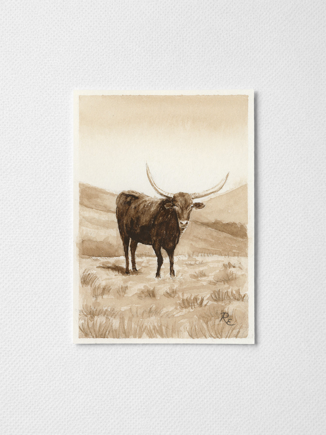Longhorn Brown II