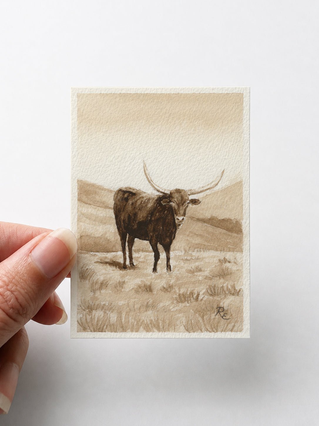 Longhorn Brown II