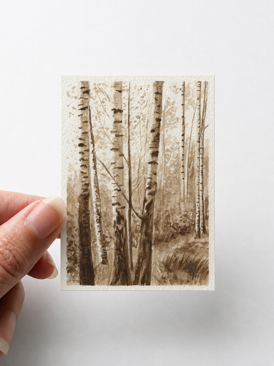 Birch Trees Brown I