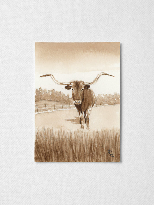 Longhorn Brown I
