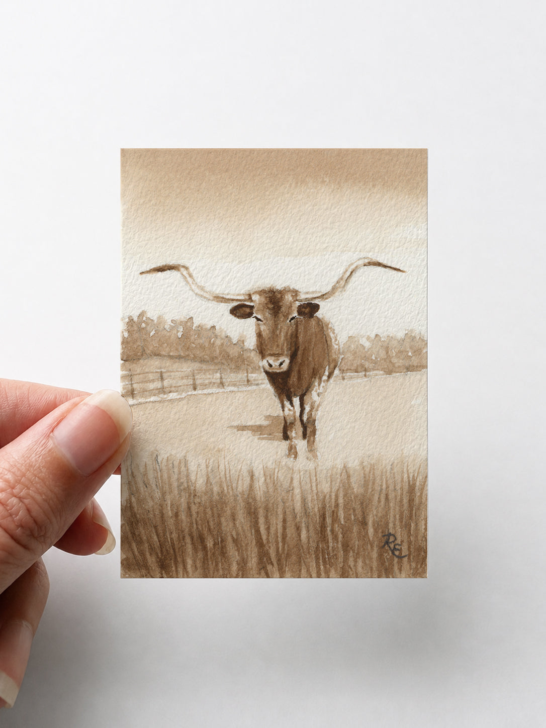 Longhorn Brown I