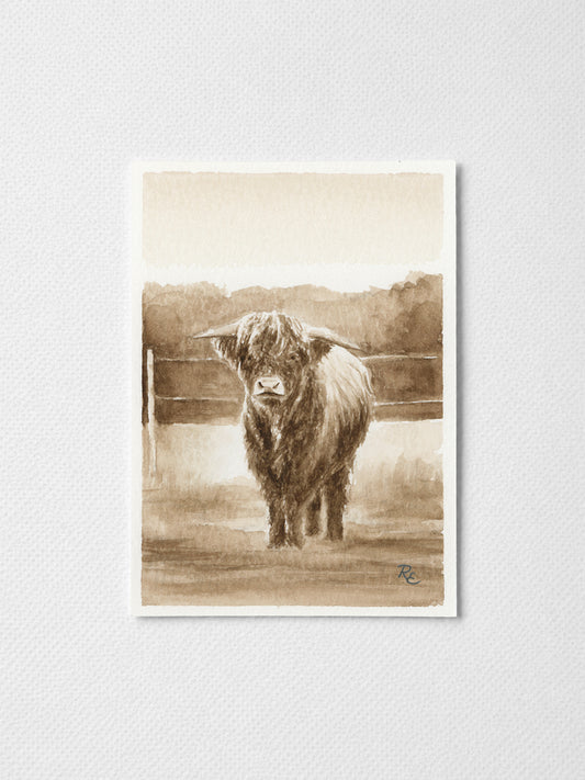 Highland Cow Brown I