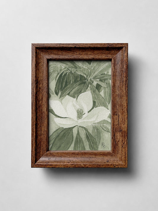Magnolia Green I