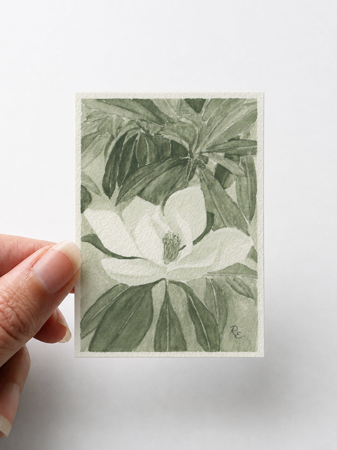 Magnolia Green I