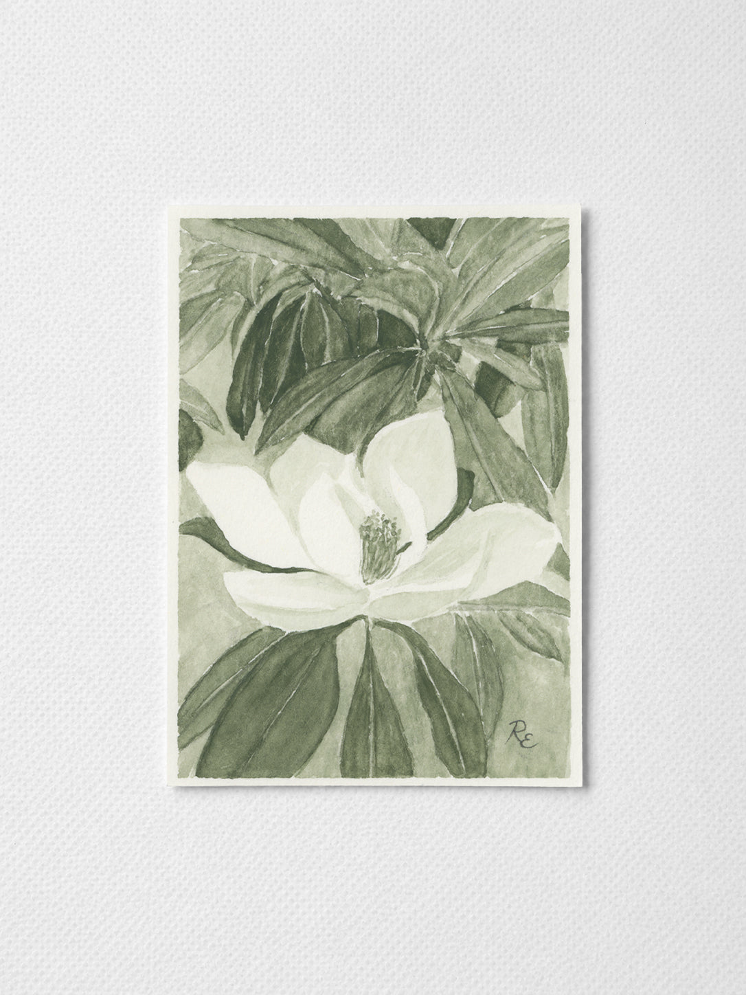Magnolia Green I