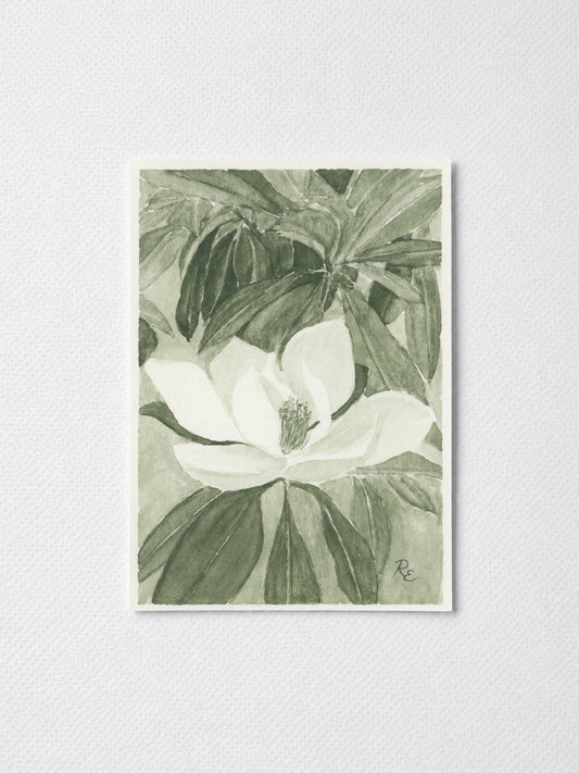 Magnolia Green I