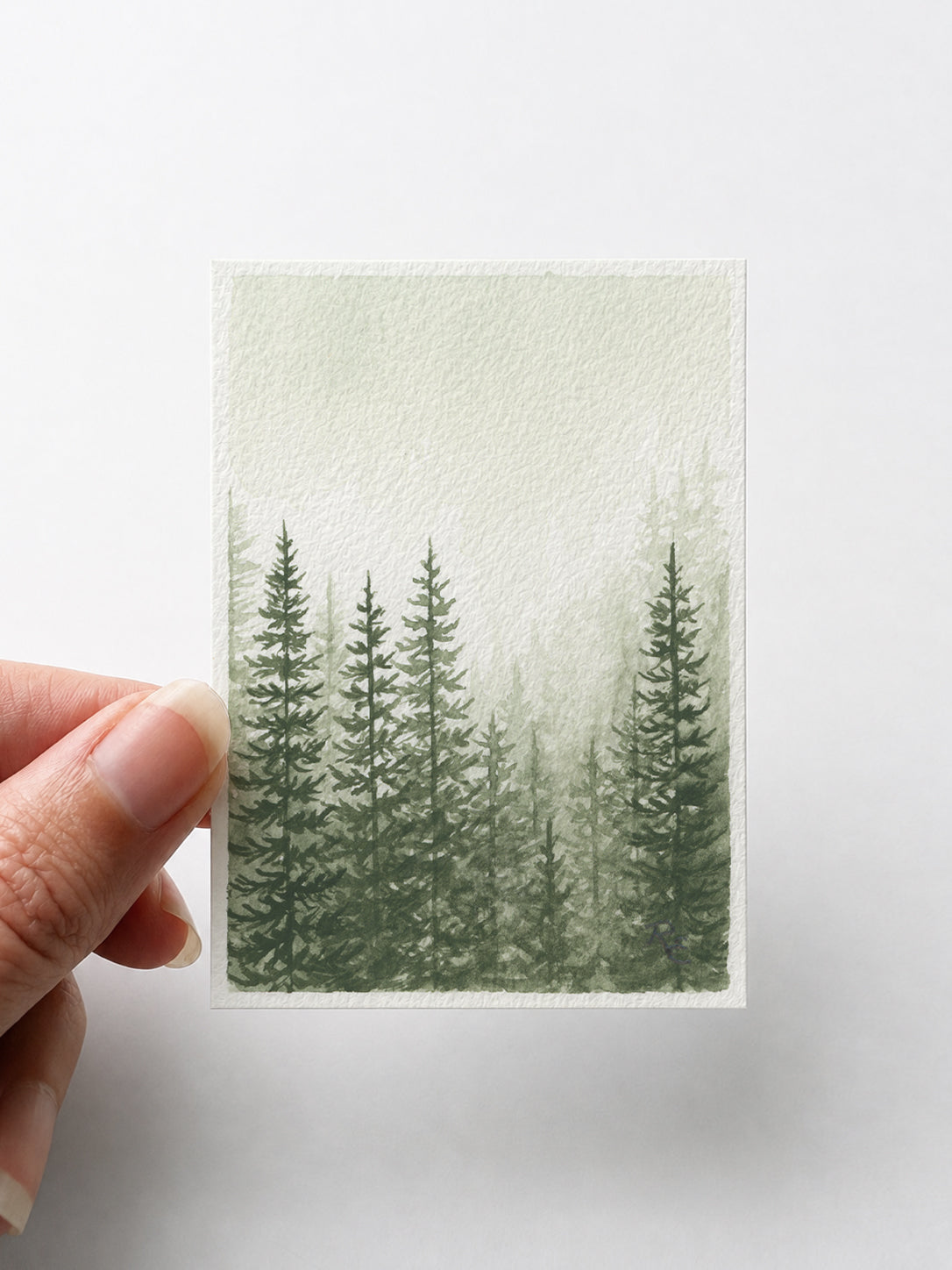 Pine Trees Green I