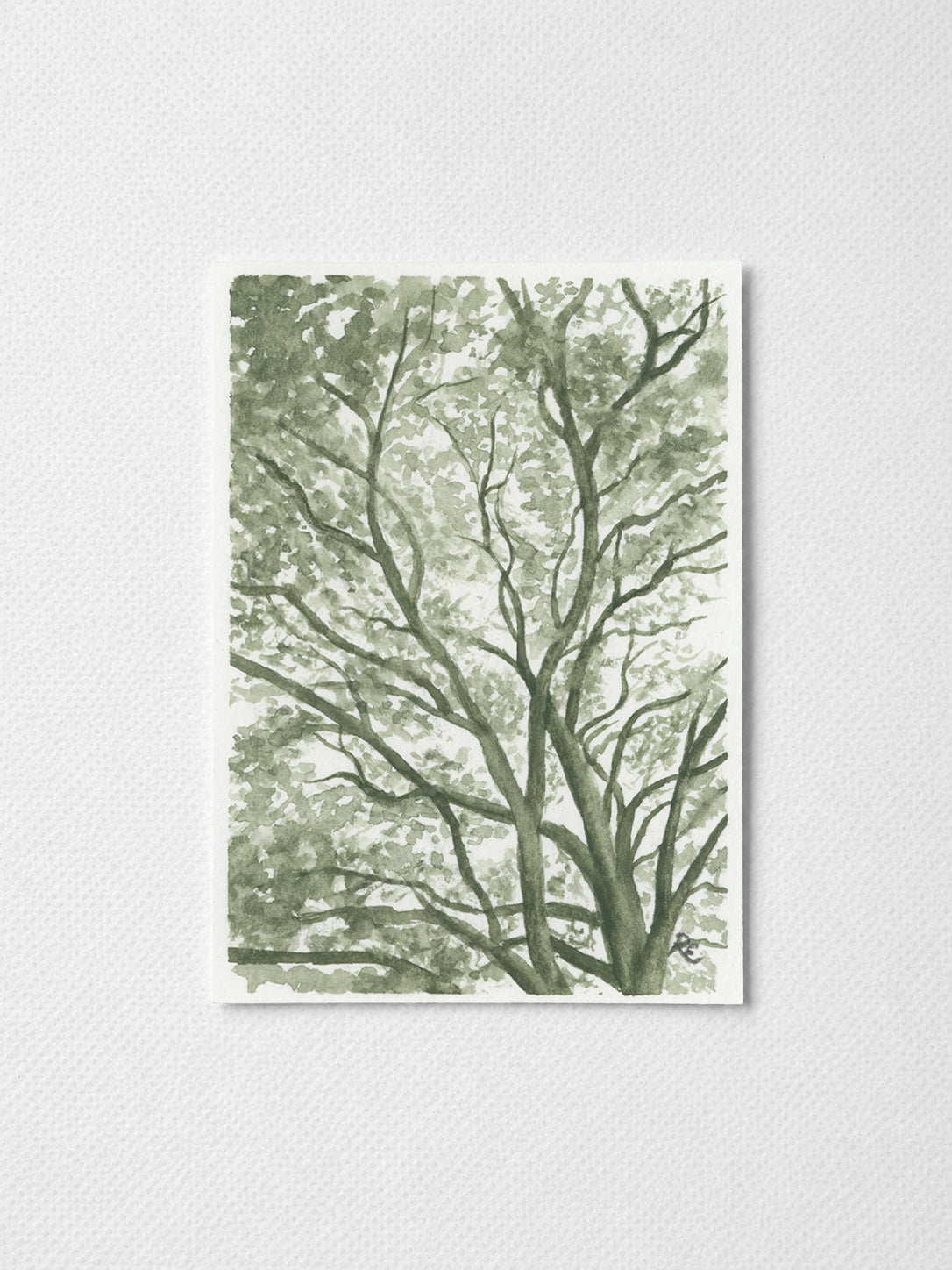 Tree Branches Green I