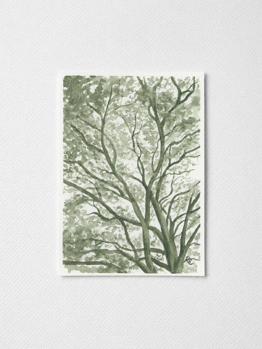 Tree Branches Green I