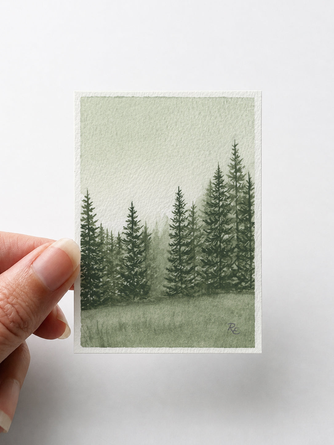 Pine Forest Green IV