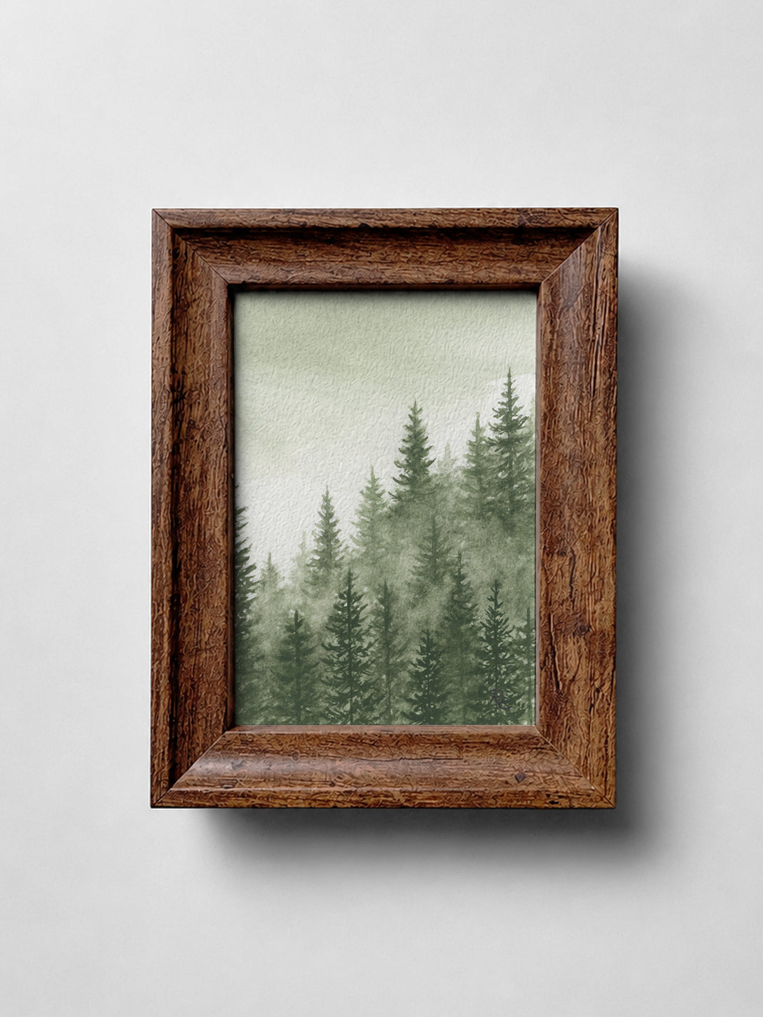 Pine Forest Green III