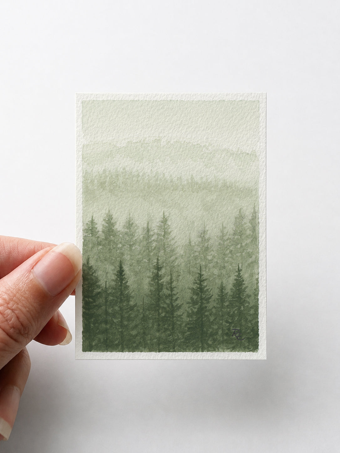 Pine Forest Green V