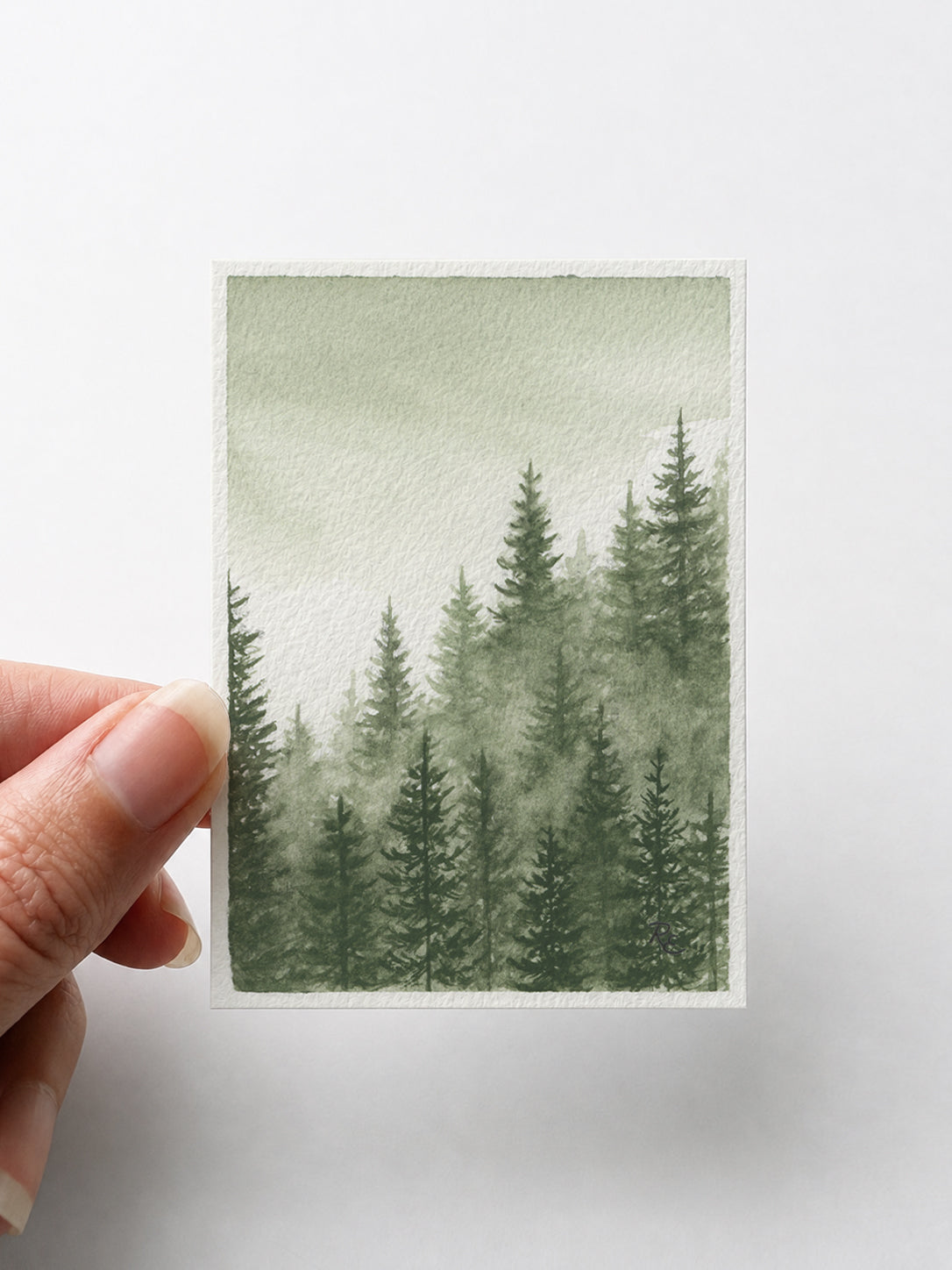 Pine Forest Green III