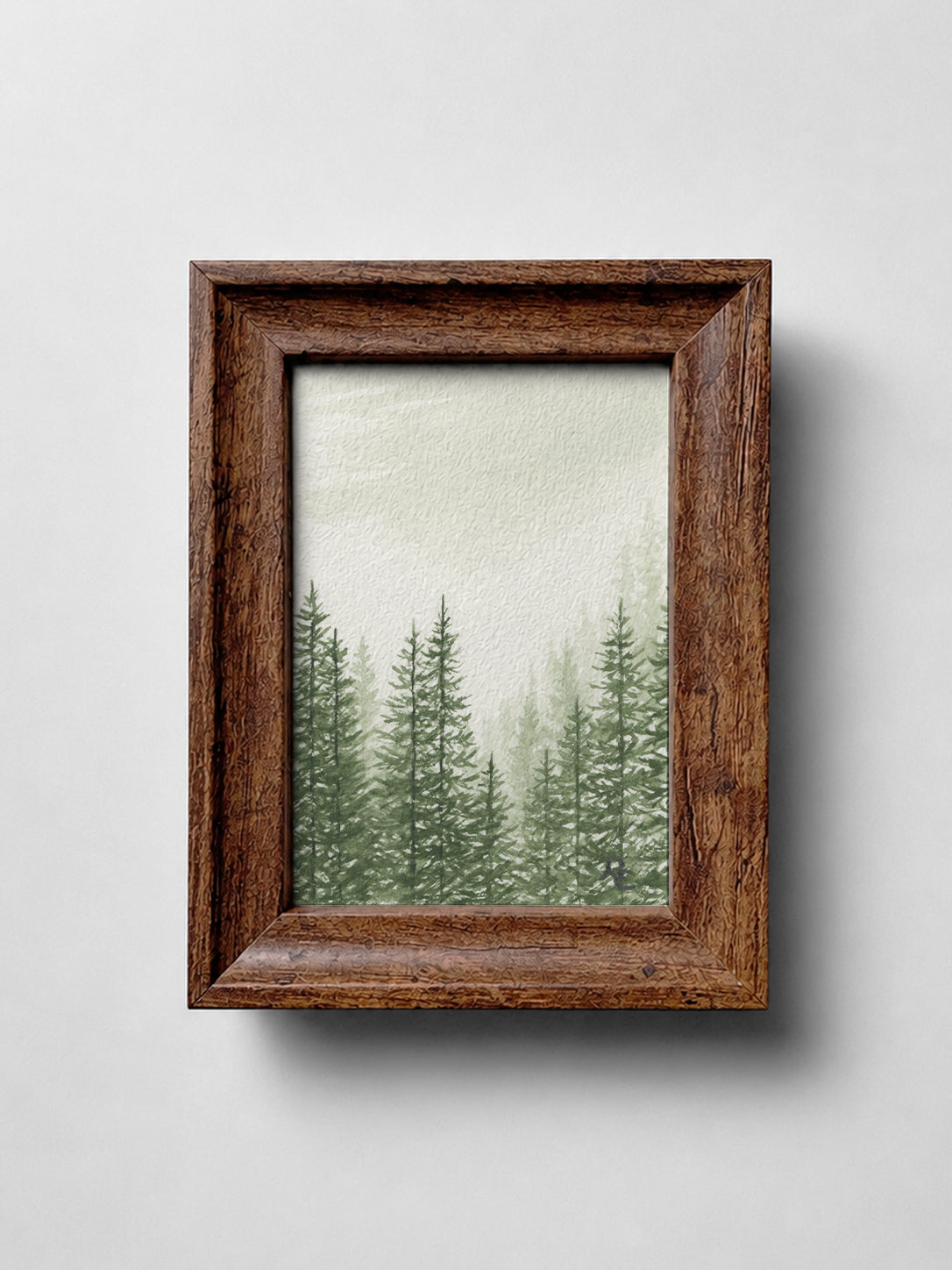 Pine Forest Green II