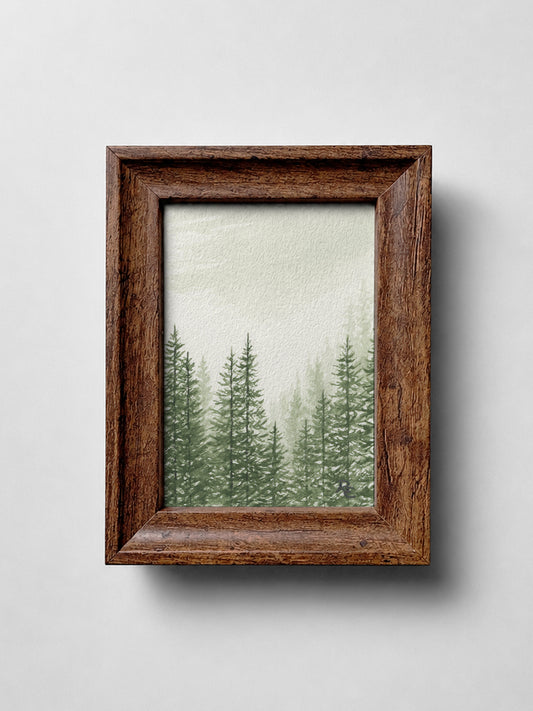 Pine Forest Green II