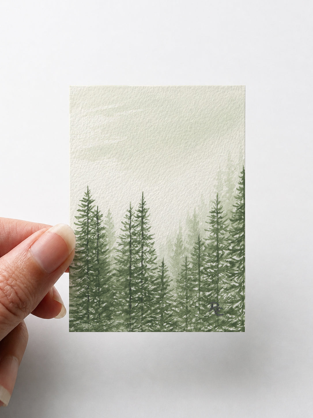 Pine Forest Green II