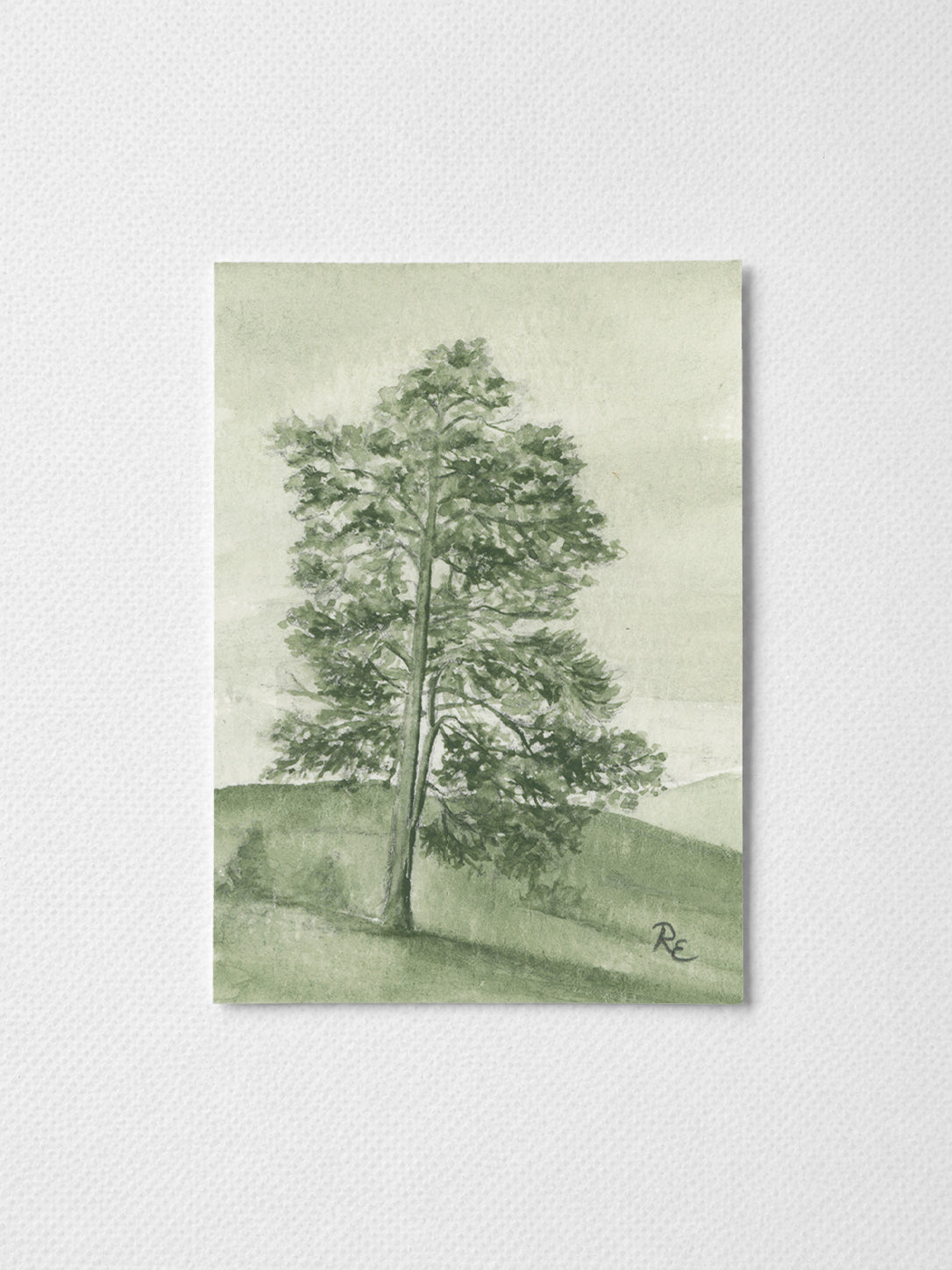 Pine Tree Green I