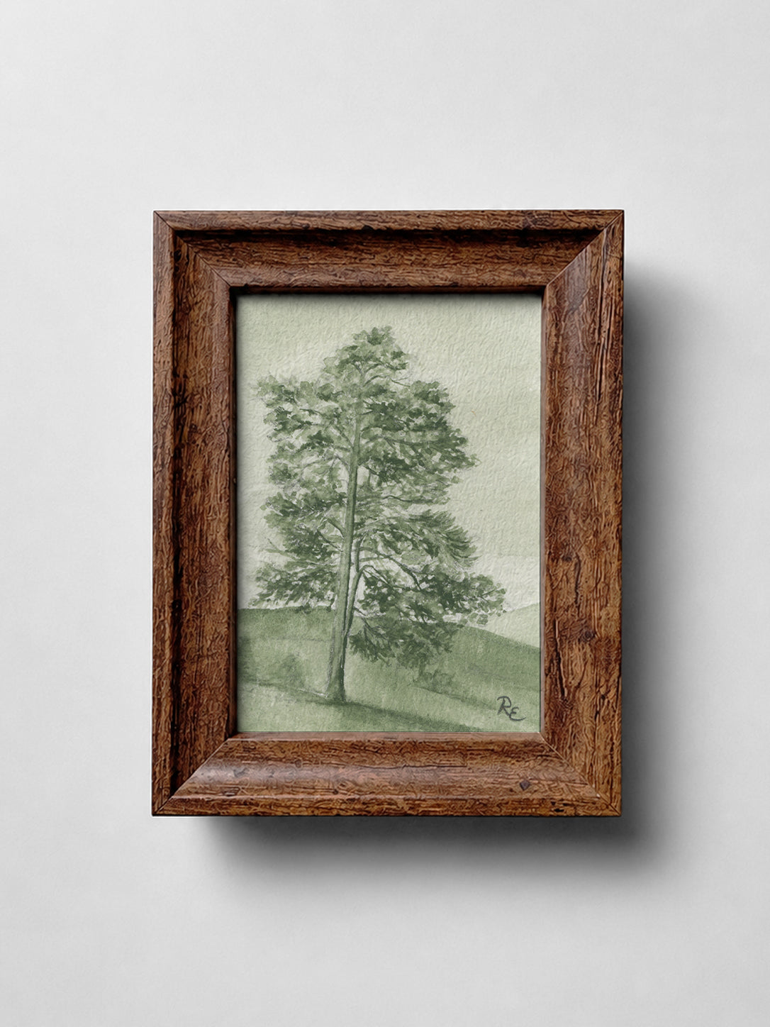 Pine Tree Green I