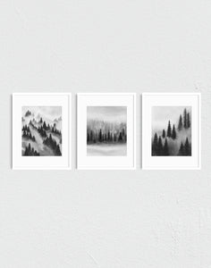 Trees Above the Fog I, II, III - Art Prints Set of Three