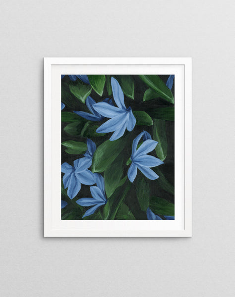 Star of Holland - Art Print
