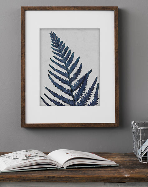 Fern Leaf Blue - Art Print