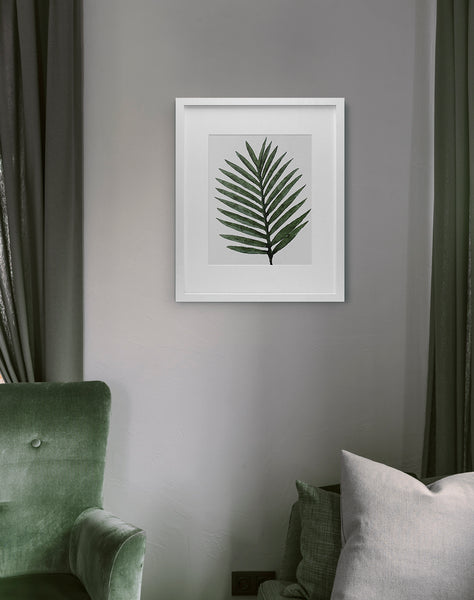 Palm Leaf Green - Art Print