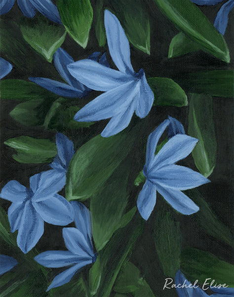 Star of Holland - Art Print