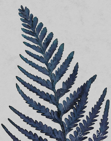 Fern Leaf Blue - Art Print
