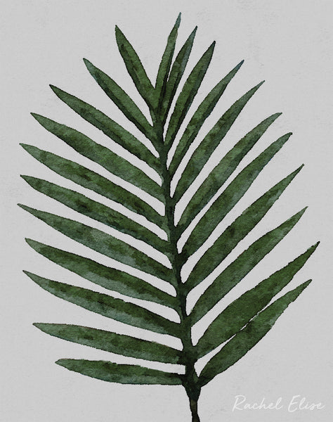 Palm Leaf Green - Art Print