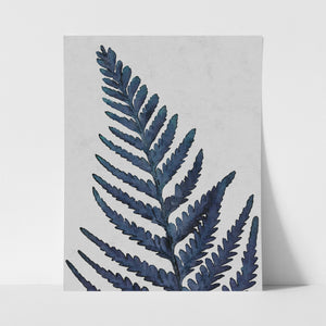 Fern Leaf Blue - Art Print
