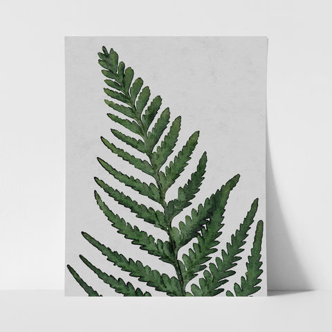 Fern Leaf Green - Art Print